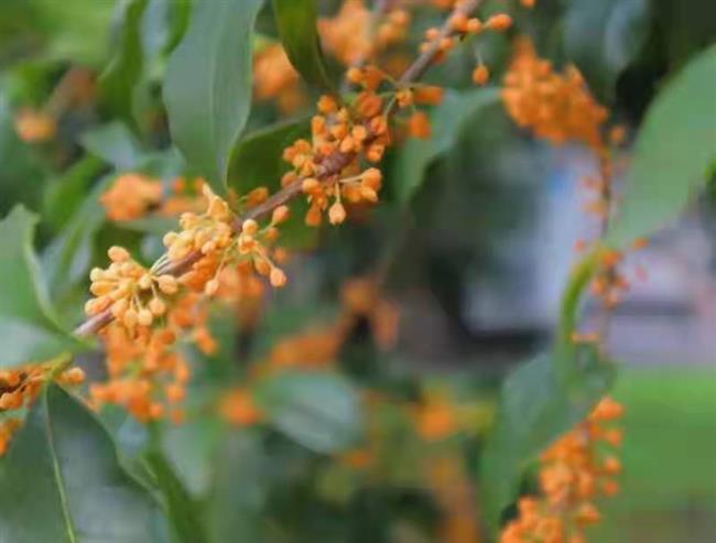 微信图片_20211102124734.jpg 微信图片_20211102124734.jpg